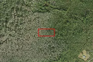 0 Holopaw Groves Rd, Saint Cloud, FL 34772 - Photo 1