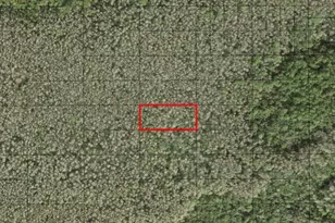 0 Holopaw Groves Rd, Saint Cloud, FL 34772 - Photo 1