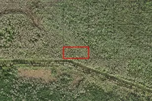 0 Holopaw Groves Rd, Saint Cloud, FL 34772 - Photo 1