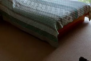 4240 Galt Ocean Dr, Fort Lauderdale, FL 33308 - Photo 21