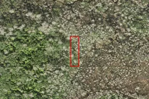 0 Holopaw Groves Rd, Saint Cloud, FL 34772 - Photo 1