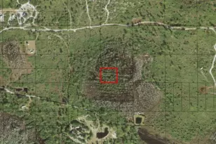 0 Holopaw Groves Rd, Saint Cloud, FL 34772 - Photo 1