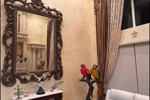 1813 NW 126th Way, Coral Springs, FL 33071 - Photo 15