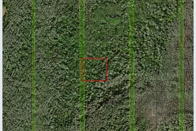 0 Holopaw Groves Road, Saint Cloud, FL 34772 - Photo 1