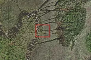 0 Holopaw Groves Rd, Saint Cloud, FL 34772 - Photo 1