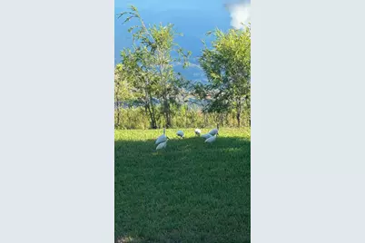 3405 NW 44th Street #105, Lauderdale Lakes, FL 33309 - Photo 7