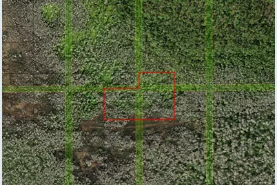 0 Holopaw Groves Road, Saint Cloud, FL 34772 - Photo 1