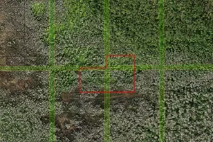 0 Holopaw Groves Rd, Saint Cloud, FL 34772 - Photo 1