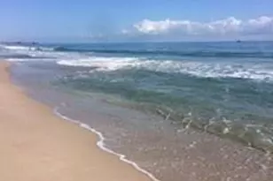 224 Hibiscus Ave, Fort Lauderdale, FL 33308 - Photo 11