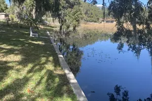 522 Scenic, Leesburg, FL 34748 - Photo 5