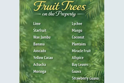 2614 NE 15th Street, Fort Lauderdale, FL 33304 - Photo 41