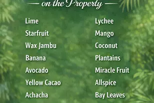 2614 NE 15th St, Fort Lauderdale, FL 33304 - Photo 41