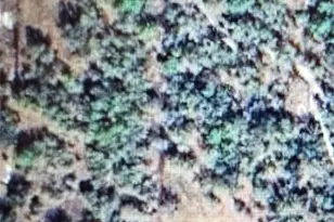 22343 NW 284th St, Okeechobee, FL 34972 - Photo 1