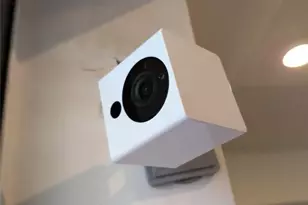 23048 Oxford Pl, Boca Raton, FL 33433 - Photo 45