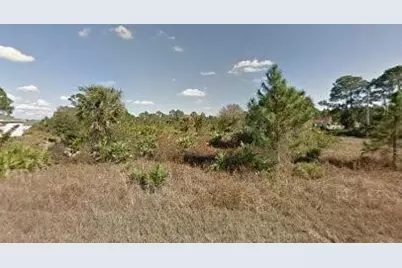 1127 Cove Street, Lehigh Acres, FL 33974 - Photo 1