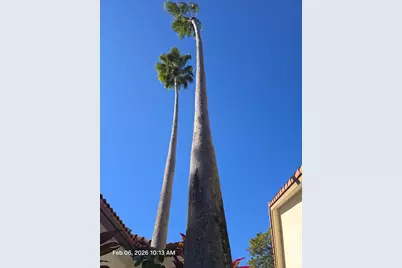 2177 Montpeliar, Weston, FL 33326 - Photo 9