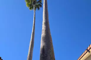 2177 Montpeliar, Weston, FL 33326 - Photo 9