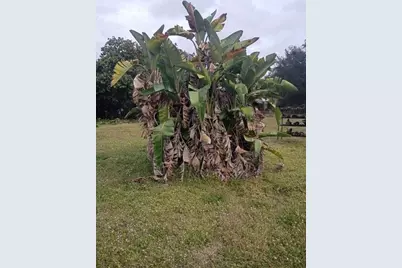 17345 NW 18th Avenue, Miami Gardens, FL 33056 - Photo 11