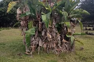 17345 NW 18th Ave, Miami Gardens, FL 33056 - Photo 11