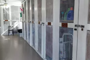 1951 NE 39th St, Lighthouse Point, FL 33064 - Photo 23