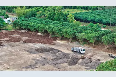 36260 SW 212th Avenue, Homestead, FL 33034 - Photo 21