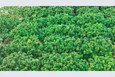 36260 SW 212th Avenue, Homestead, FL 33034 - Photo 19