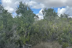 0 Holopaw Groves Rd, Saint Cloud, FL 34772 - Photo 1