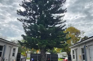 2711 Lincoln St, Hollywood, FL 33020 - Photo 9