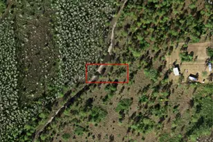 0 Holopaw Groves Rd, Saint Cloud, FL 34772 - Photo 1