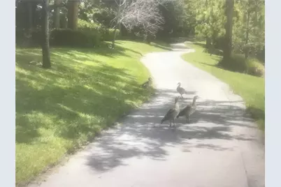 [Address not provided], Hollywood, FL 33021 - Photo 19