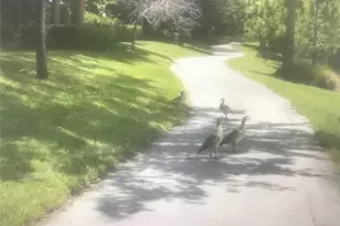 [Address not provided], Hollywood, FL 33021 - Photo 19