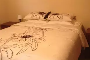 2325 Garfield St, Hollywood, FL 33020 - Photo 9