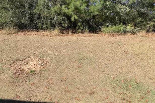 134 Hickory Crse Trl, Ocala, FL 34472 - Photo 5