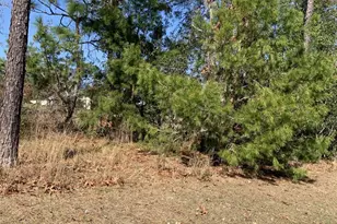 134 Hickory Crse Trl, Ocala, FL 34472 - Photo 7