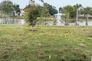 10315 Blooming Blossom Ct, Fort Myers, FL 33905 - Photo 9