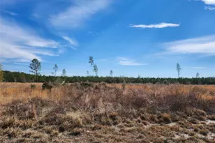 80?? 211 Ct, Live Oak, FL 32060 - Photo 1