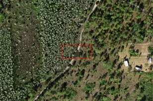 0 Holopaw Groves Rd, Saint Cloud, FL 34772 - Photo 1