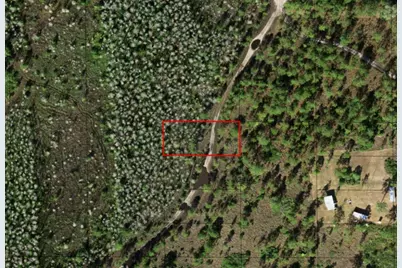 0 Holopaw Groves Road, Saint Cloud, FL 34772 - Photo 1