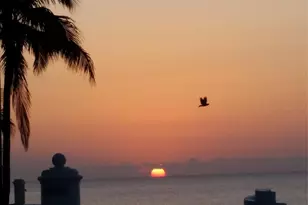 4030 W Palm Aire Dr, Pompano Beach, FL 33069 - Photo 43