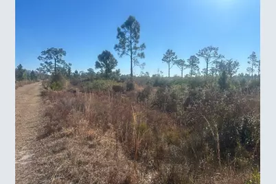 0 Xeriscape Nursery Road, Frostproof, FL 33898 - Photo 1