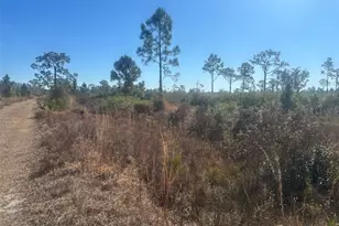 0 Xeriscape Nursery Rd, Frostproof, FL 33898 - Photo 1