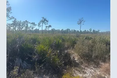 0 Xeriscape Nursery Road, Frostproof, FL 33898 - Photo 3