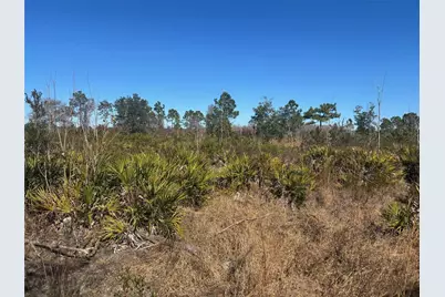 0 Xeriscape Nursery Road, Frostproof, FL 33898 - Photo 1