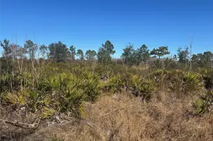 0 Xeriscape Nursery Rd, Frostproof, FL 33898 - Photo 1