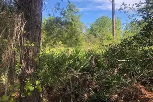 0 Old Grade Rd, Polk City, FL 33868 - Photo 1