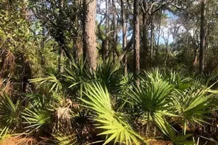 0 Old Grade Rd, Polk City, FL 33868 - Photo 1