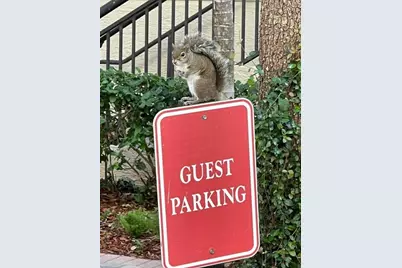 2633 NE 14th Avenue #111, Wilton Manors, FL 33334 - Photo 47