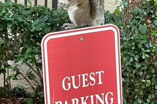 2633 NE 14th Ave, Wilton Manors, FL 33334 - Photo 47