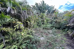 111 NE 47th St, Fort Lauderdale, FL 33334 - Photo 19