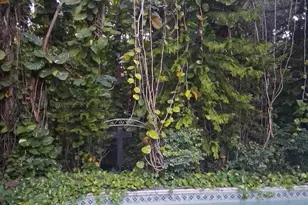 5911 SW 196th Ln, Southwest Ranches, FL 33332 - Photo 9